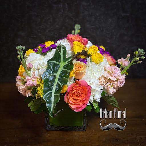 Florist «Urban Floral», reviews and photos, 671 Meriden Rd, Waterbury, CT 06705, USA