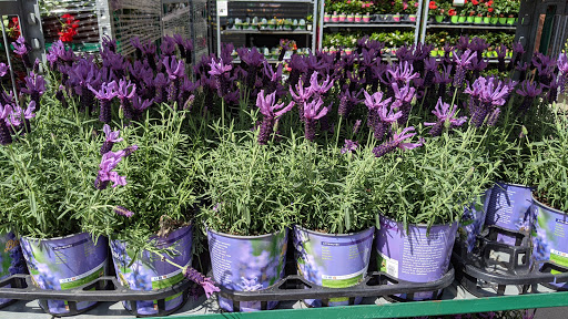 Home Improvement Store «The Home Depot», reviews and photos, 251 Springhill Rd, Carpentersville, IL 60110, USA