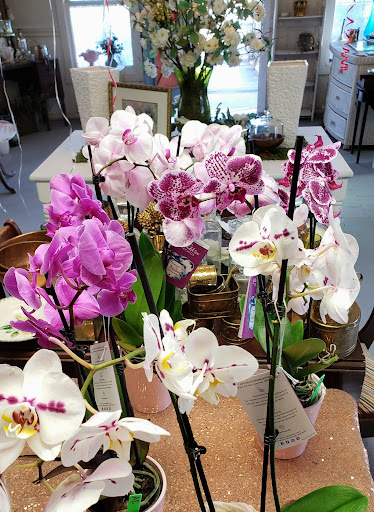 Landscaper «Wilson Landscape Nursery and Florist», reviews and photos, 14650 Bandera Rd, Helotes, TX 78023, USA