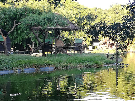 Zoológico Municipal de Santa Cruz