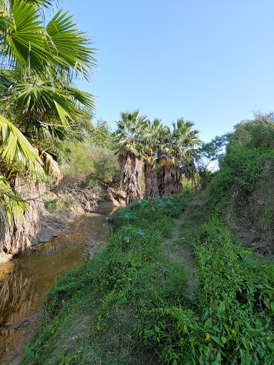 Park «Harlingen Thicket», reviews and photos, 311 E Tyler Ave, Harlingen, TX 78550, USA