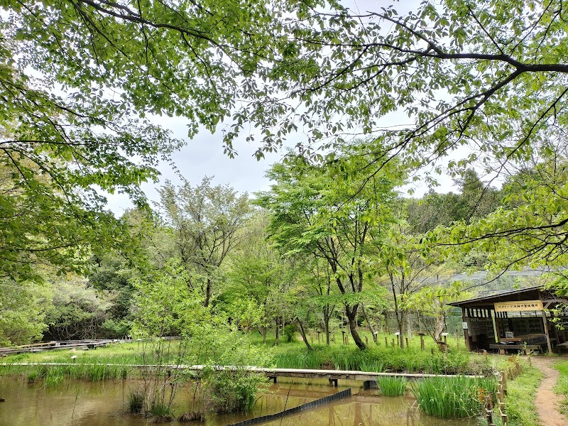 市営ビオトープ 天神の里