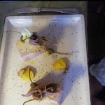 Photo n°6 de l'avis de Elisa.r fait le 19/09/2022 à 17:04 sur le  Antica Trattoria Cacciatori dal 1898 Ristorante à Fraconalto