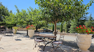 Photo n°73 de Le Jas de Majastre à Bauduen ()