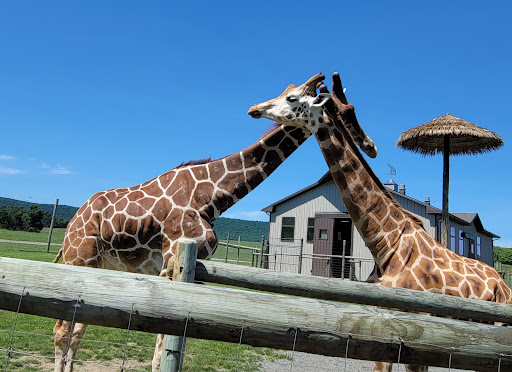 Park «Lake Tobias Wildlife Park», reviews and photos, 760 Tobias Road, Halifax, PA 17032, USA