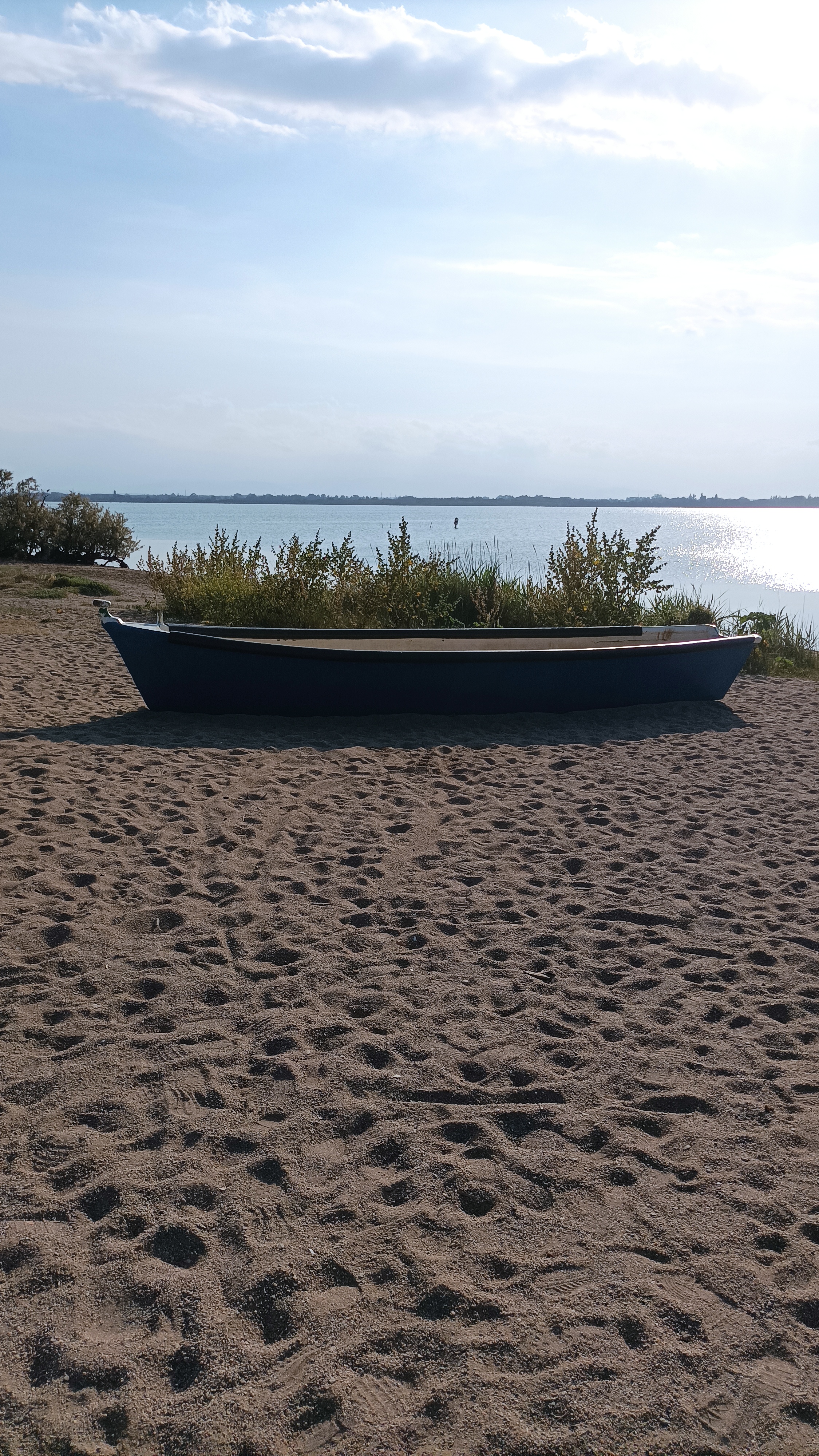 Photo n° 14 de l'avis de Grandiou.a fait le 14/05/2022 à 23:09