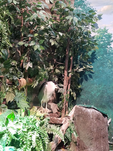 Aquarium «Great Lakes Aquarium», reviews and photos, 353 Harbor Dr, Duluth, MN 55802, USA