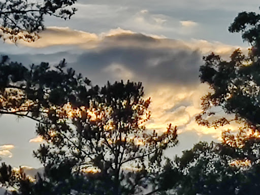 Wedding Venue «Ashton Gardens - Atlanta», reviews and photos, 260 Peachtree Industrial Blvd, Sugar Hill, GA 30518, USA