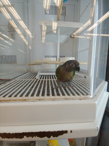 Pet Supply Store «Petco Animal Supplies», reviews and photos, 1207 S Caraway Rd, Jonesboro, AR 72401, USA