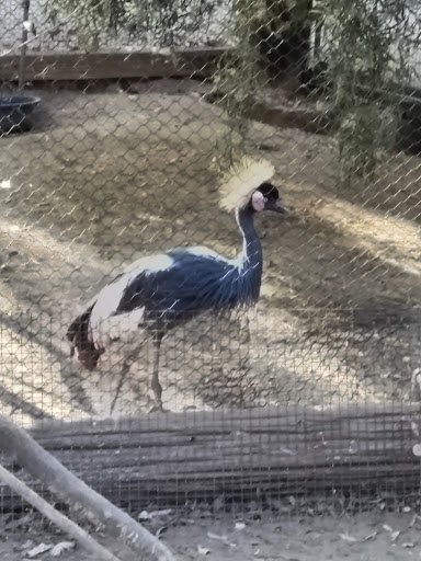 Golf Course «Falcon Dunes Golf Course», reviews and photos, 15100 Northern Ave, Waddell, AZ 85355, USA