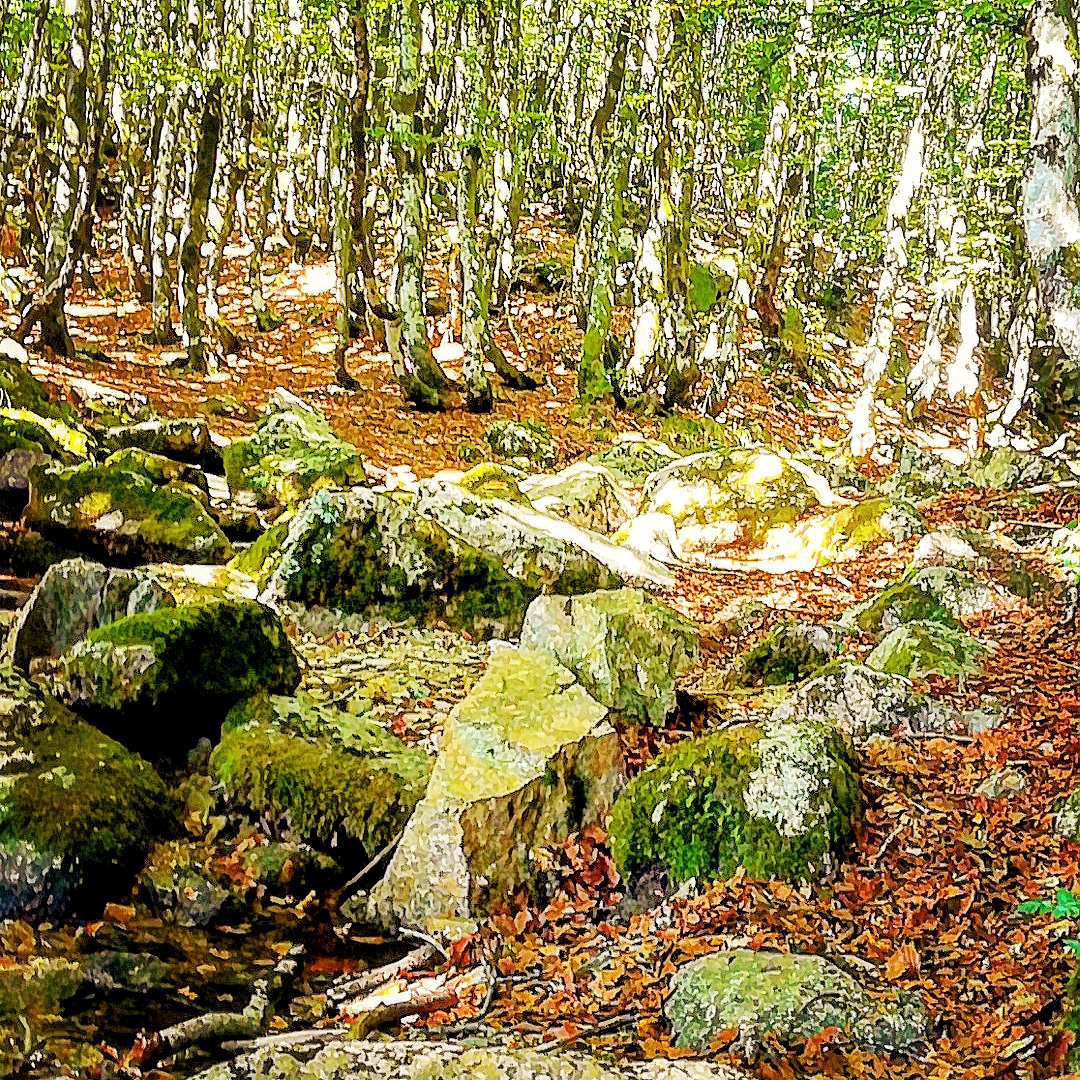 Photo n° 1 de l'avis de matthis.i fait le 01/09/2018 à 12:08