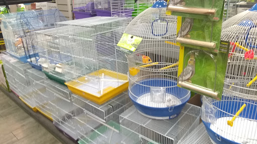 Pet Store «Petland South Orlando», reviews and photos, 3920 S Semoran Blvd, Orlando, FL 32822, USA