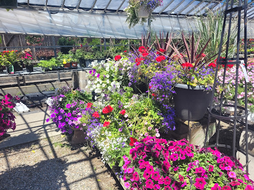Plant Nursery «Goldner Walsh Garden and Home», reviews and photos, 559 Orchard Lake Rd, Pontiac, MI 48341, USA