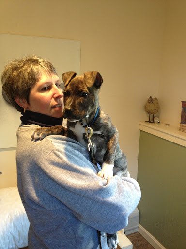 Landau Veterinary Services image