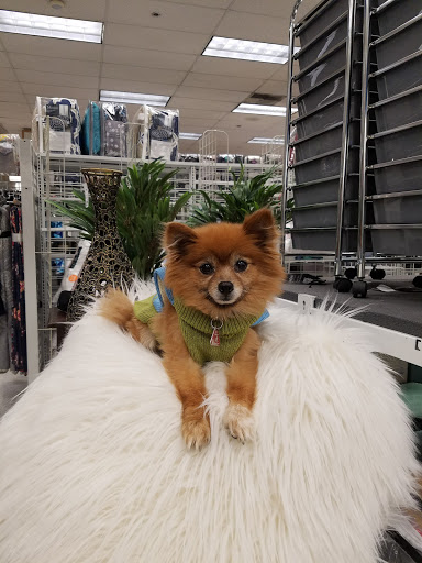 Clothing Store «Ross Dress for Less», reviews and photos, 10744 E Foothill Blvd, Rancho Cucamonga, CA 91730, USA