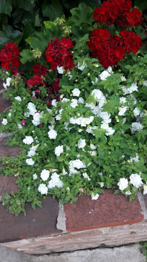 Historical Place «Fort Smith National Historic Site», reviews and photos, 301 Parker Ave, Fort Smith, AR 72901, USA