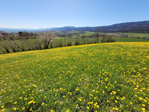 Belvédère Longirod à Longirod