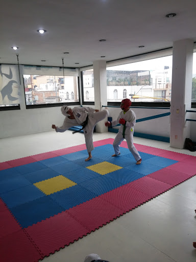 Urawa Karate Do Toluca