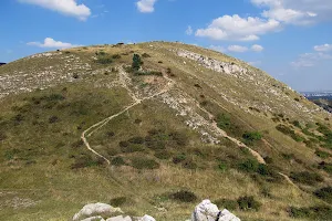Budaörsi kopárok - Odvas-hegy image