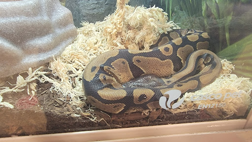 Pet Supply Store «PetSmart», reviews and photos, 1700 Willow Pass Rd, Concord, CA 94520, USA