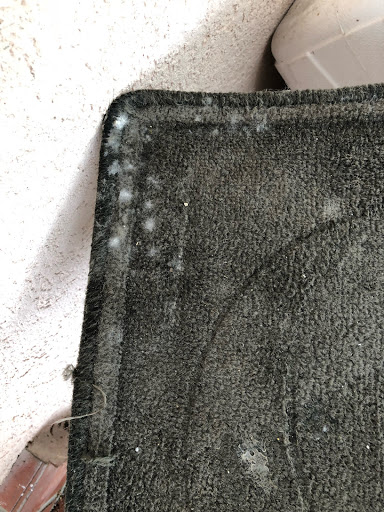 Car Dealer «Gator Chrysler Dodge Jeep», reviews and photos, 840 S Harbor City Blvd, Melbourne, FL 32901, USA