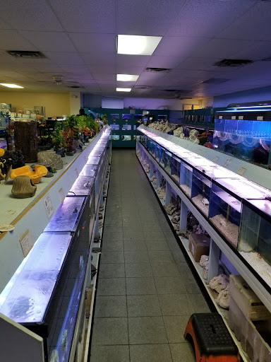 Tropical Fish Store «Monfort Aquarium & Pet», reviews and photos, 6520 Colerain Ave, Cincinnati, OH 45239, USA