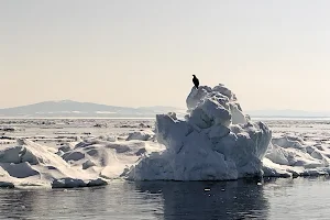 Abashiri Drift Ice Sightseeing & Icebreaker Ship image