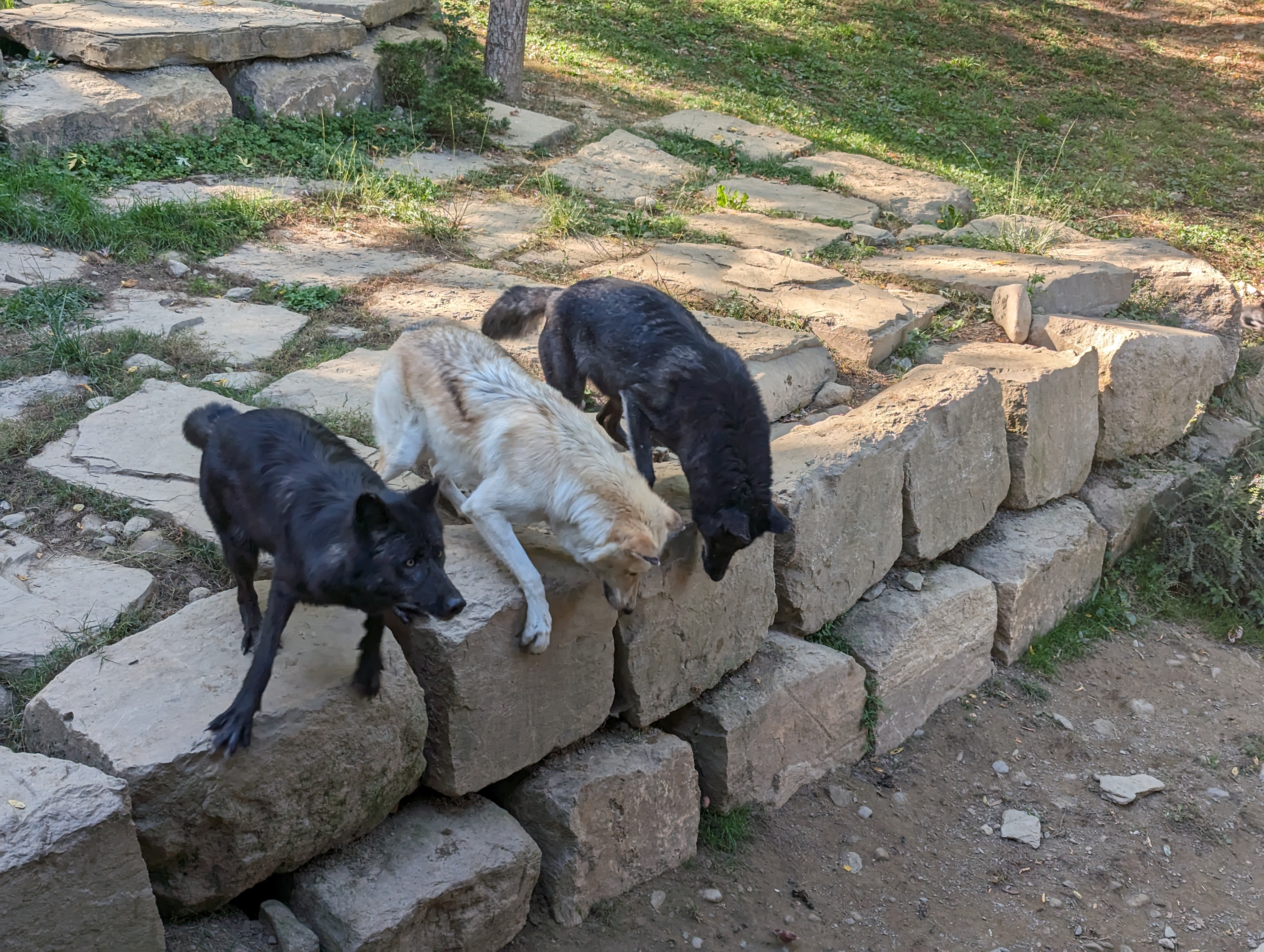 Photo n° 28 de l'avis de Thibaud.l fait le 10/10/2023 à 07:10