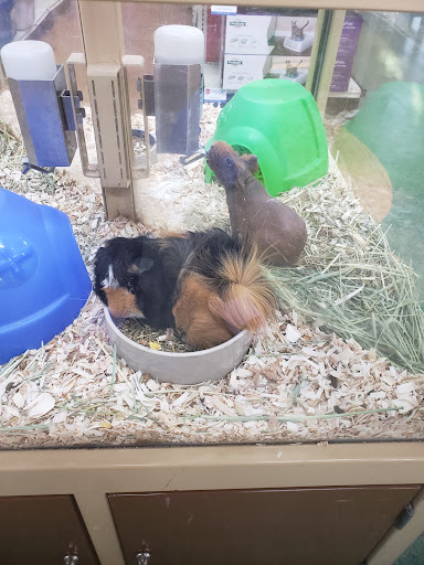 Pet Supply Store «Pet Supermarket», reviews and photos, 801 E Sunrise Blvd, Fort Lauderdale, FL 33304, USA