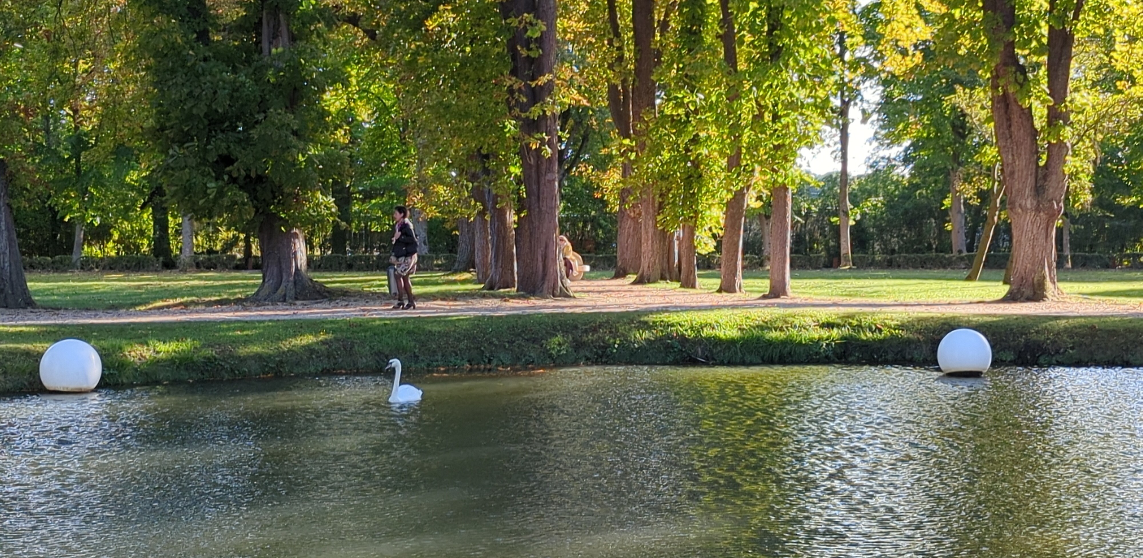 Photo n° 6 de l'avis de Fabien.o fait le 03/10/2022 à 19:42