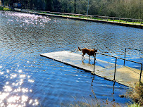 Rivière du Restaurant Camping l'Aquarelle Du Limousin à La Souterraine - n°18