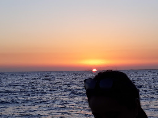 Market «Dolphin Market», reviews and photos, 1430 Ocean Ave, Seal Beach, CA 90740, USA