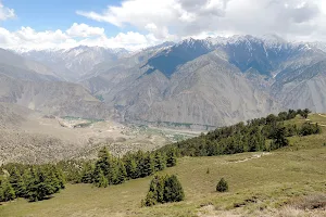 Chitral Gol National Park Wildlife Division image