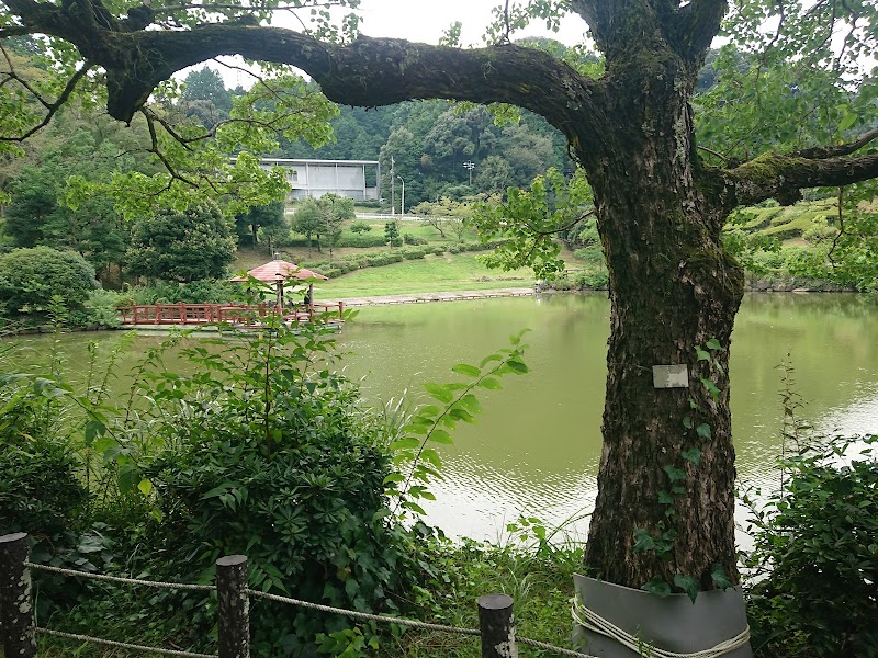 鵜田沢の池