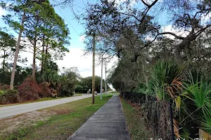 Jungle Hut Loop Trail image