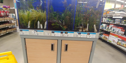 Pet Supply Store «Petco Animal Supplies», reviews and photos, 1011 University Blvd #100, Suffolk, VA 23435, USA