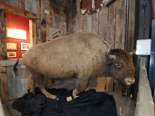 Museum «Ghost Town Museum», reviews and photos, 400 S 21st St, Colorado Springs, CO 80904, USA