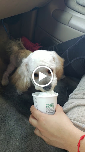 Coffee Shop «Starbucks Coffee», reviews and photos, 8924 Long Beach Blvd, South Gate, CA 90280, USA