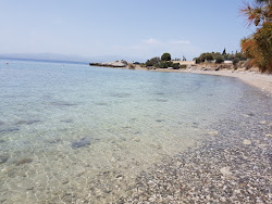 Skaloma beach'in fotoğrafı vahşi alan