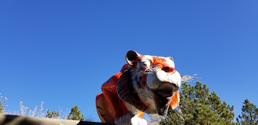 Amusement Park «North Pole Colorado Santa’s Workshop», reviews and photos, 5050 Pikes Peak Hwy, Cascade, CO 80809, USA