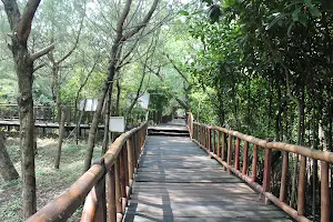 Mangrove Wonorejo image