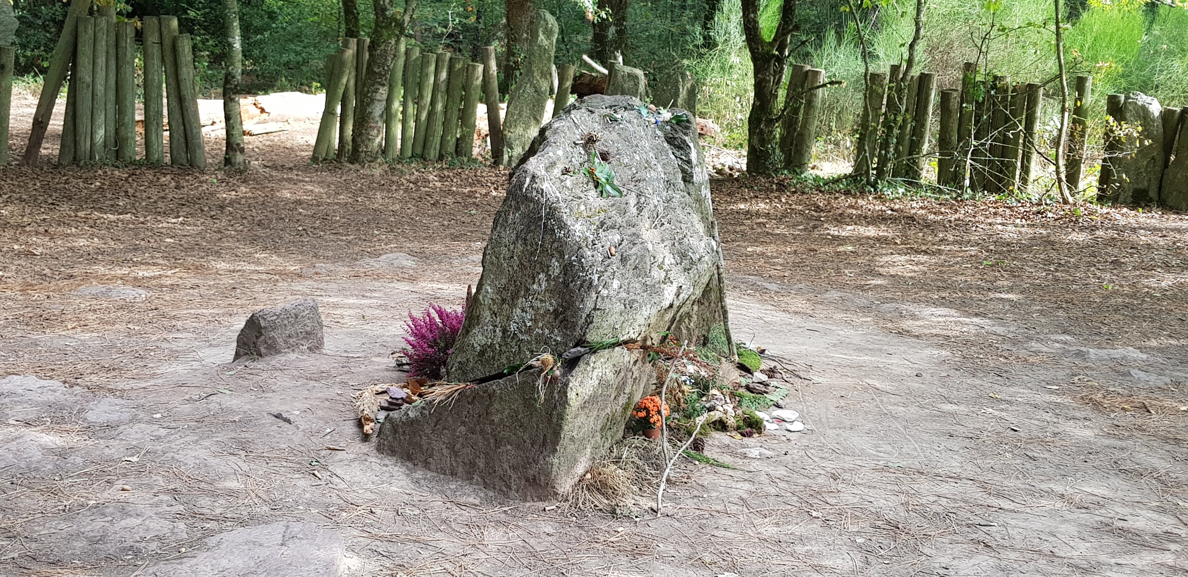 Photo n° 5 de l'avis de Pierre-B..u fait le 26/09/2020 à 06:59