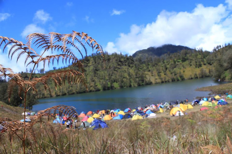 Layanan Sewa Tenda di Kalimantan Timur: Menikmati Keindahan Alam di MANGROVE ADVENTURE