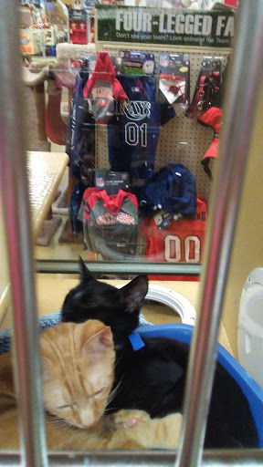Pet Supply Store «PetSmart», reviews and photos, 211 W Alexander St A, Plant City, FL 33563, USA