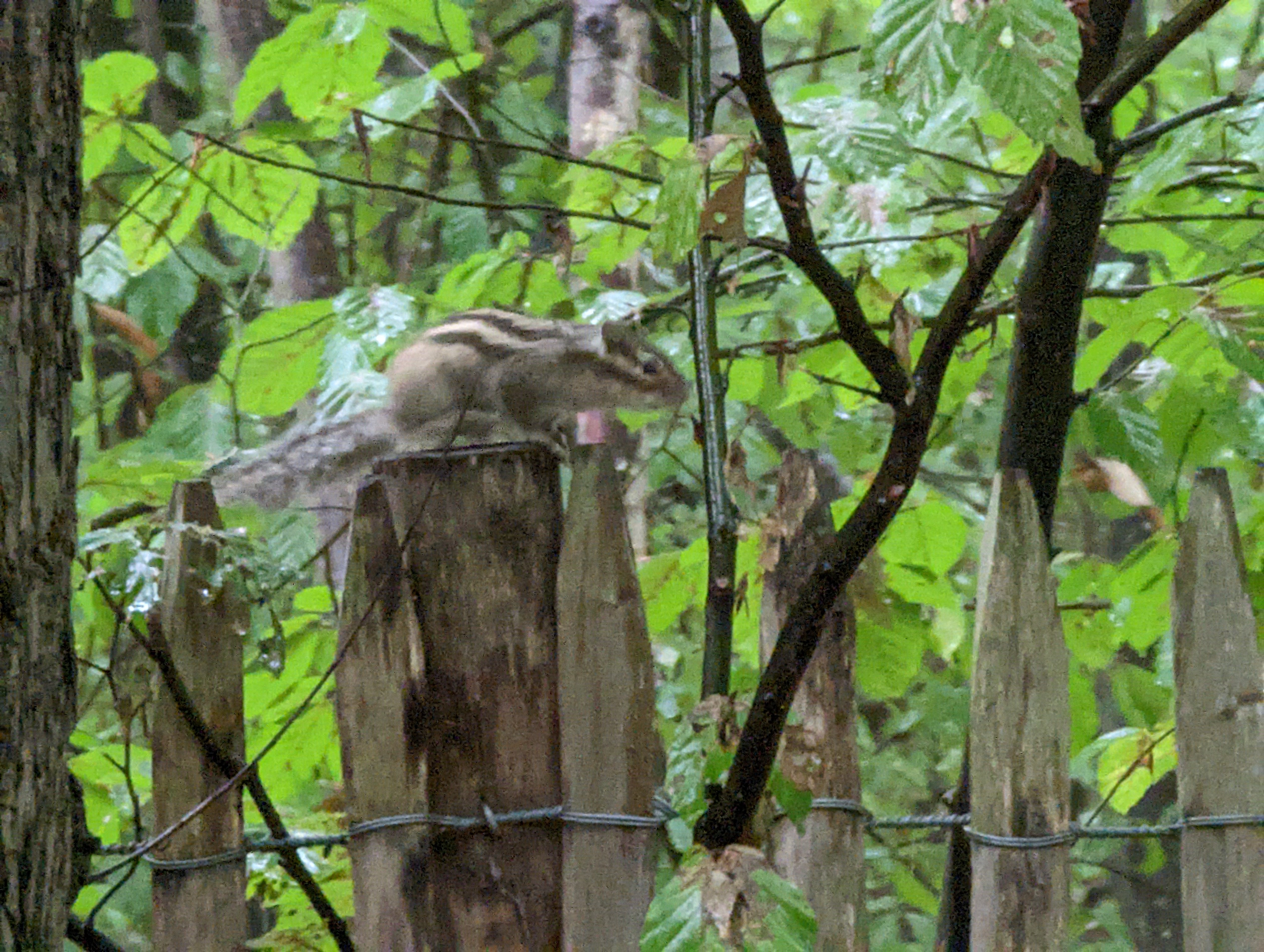 Photo n° 1 de l'avis de Virgile.o fait le 24/09/2022 à 13:04