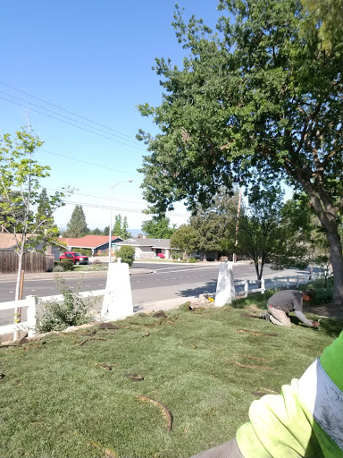 Live Music Venue «Concord Pavilion», reviews and photos, 2000 Kirker Pass Rd, Concord, CA 94521, USA