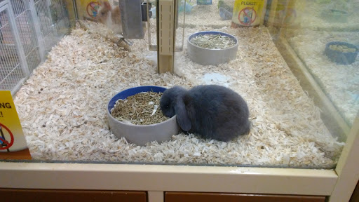 Pet Supply Store «Pet Supermarket», reviews and photos, 7822 Gall Blvd, Zephyrhills, FL 33541, USA
