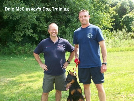 Dale McCluskey Dog Training
