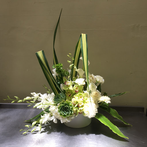 Florist «Orchid Florist», reviews and photos, 1768 Solano Ave, Berkeley, CA 94707, USA