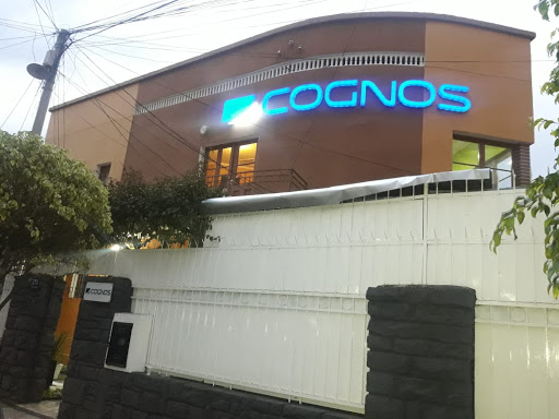 Cognos Capacitación Tecnológica